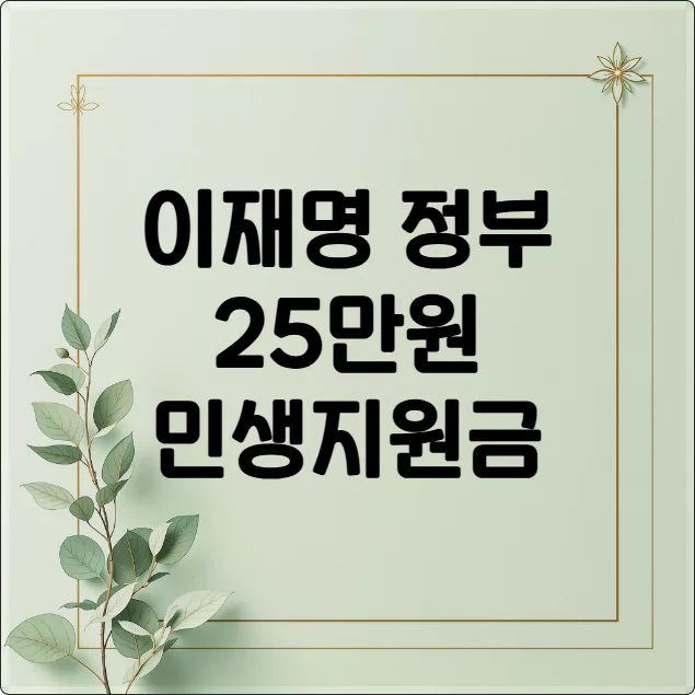 이재명 정부 25만원 민생지원금