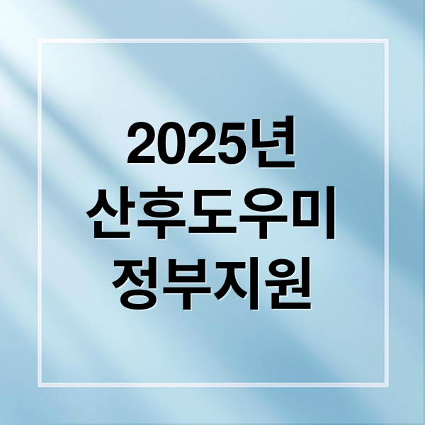 2025 산후도우미 정부지원: 신청부터 자격, 금액까지 총정리