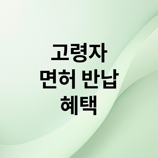 고령자 운전면허 반납 혜택 총정리: 지원금부터 이동권까지