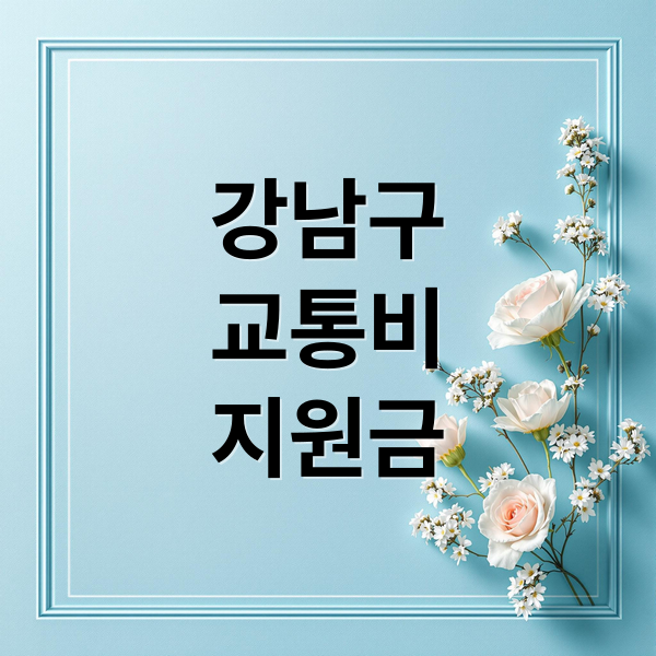 강남구 청년 교통비 지원: 신청 방법, 환급 기준, 2025년 확대 총정리