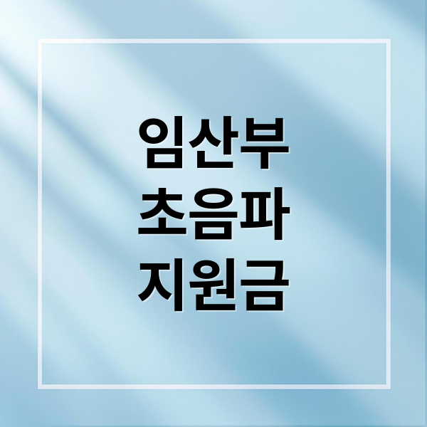 임산부 초음파 비용, 지원금, 혜택 100% 받는 법 총정리