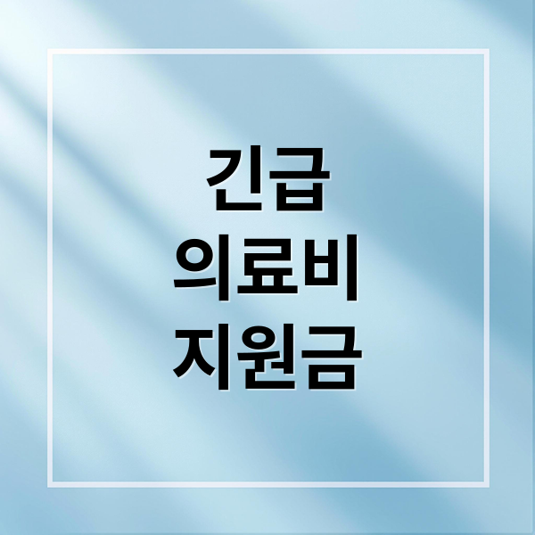 긴급의료비 지원, 신청부터 지급까지 모든 절차 완벽 가이드