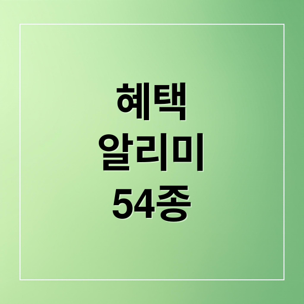 혜택알리미 54종 바우처 신청부터 활용까지 복지로 완벽 가이드