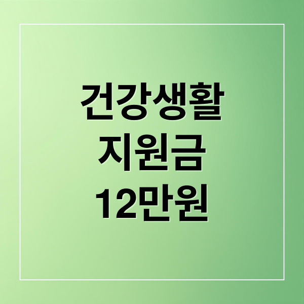 건강생활실천지원금 12만원, 신청부터 사용까지 완벽 가이드