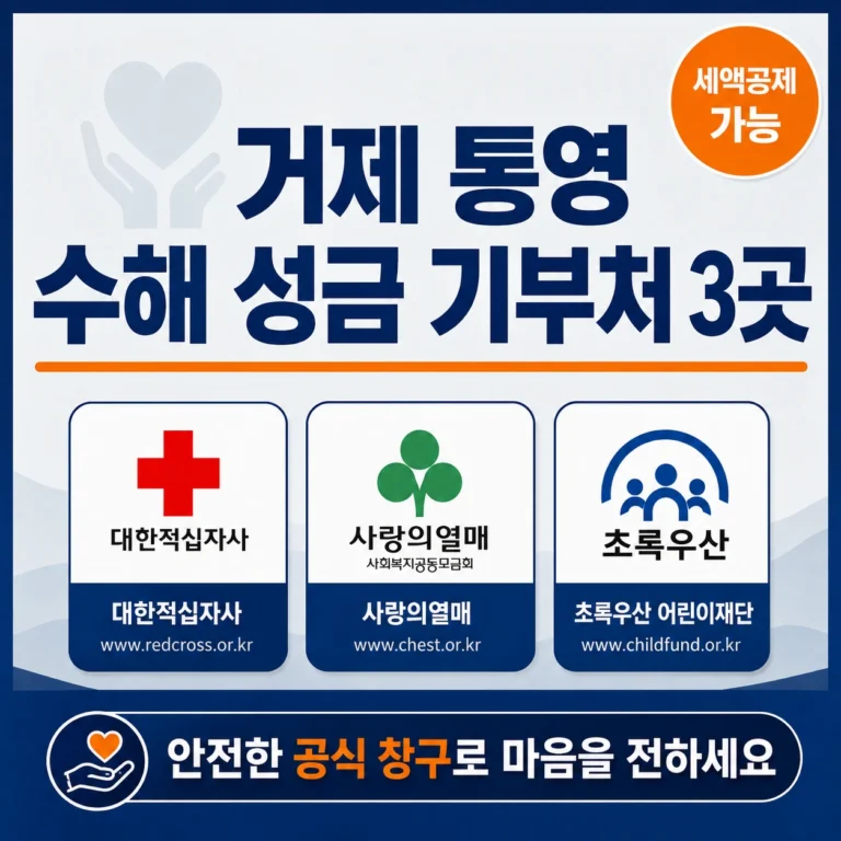 수해 성금 기부처 3곳 총정리